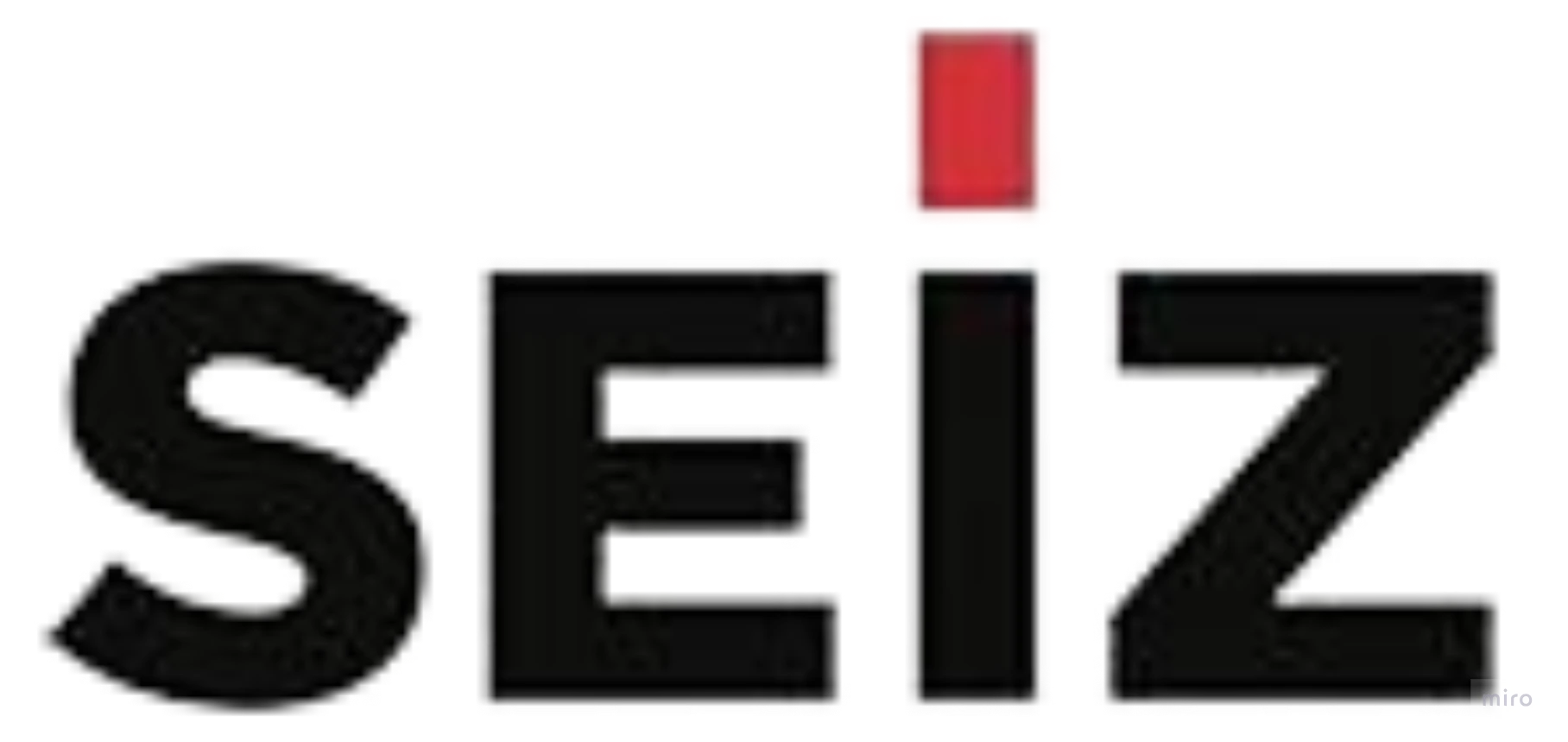 Seiz Logo